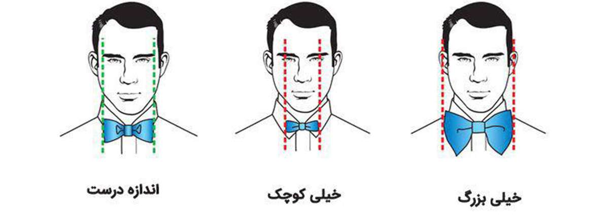 انواع پایپون